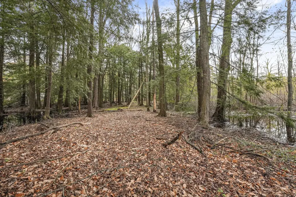 4125 White Birch Drive Green Lake Township MI 49637