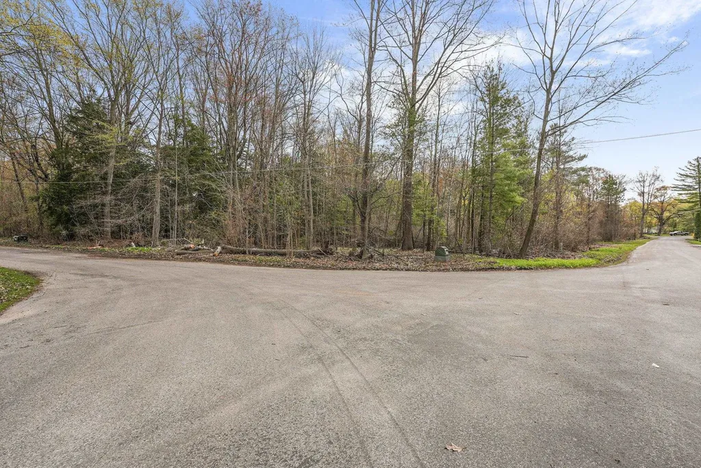 4125 White Birch Drive Green Lake Township MI 49637