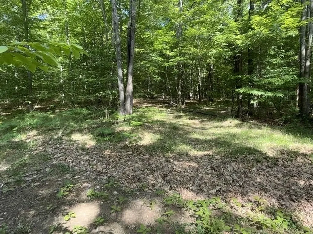 4933 E Johnson Road Norwich Township MI 49651