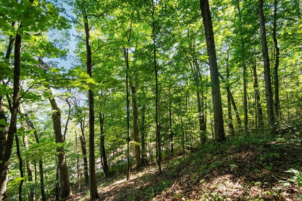 00 Center Road Peninsula Township MI 49686