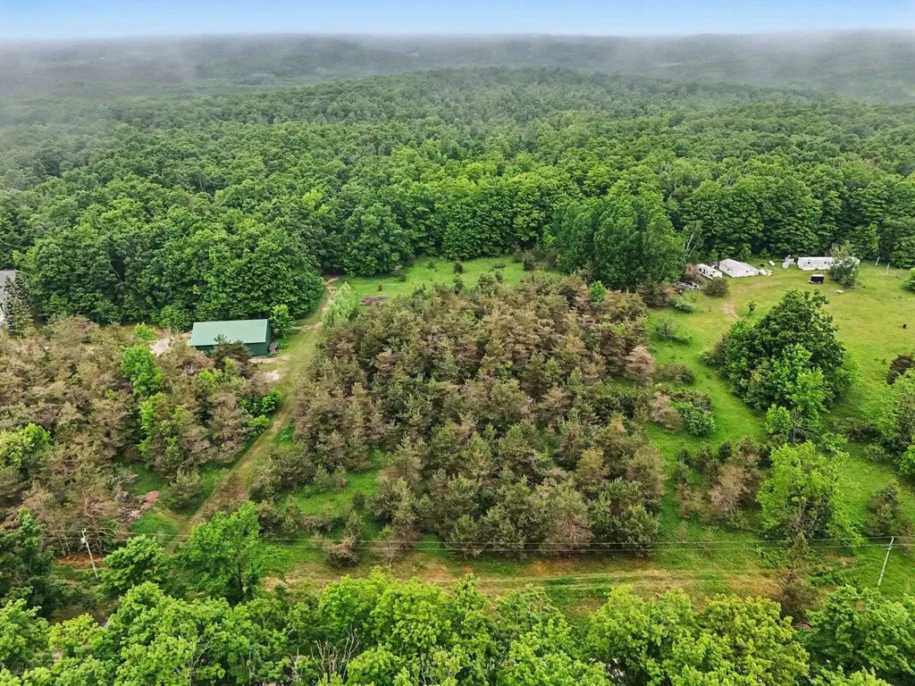 Vl Robinson Road Readmond Township MI 49740