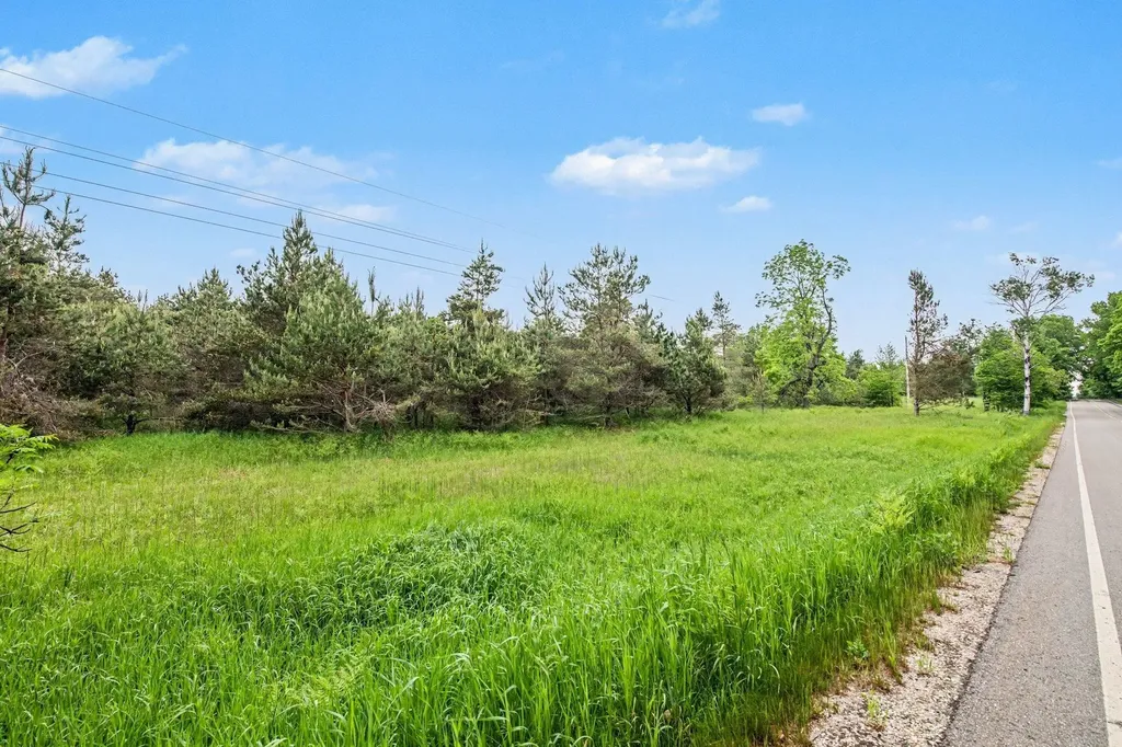 Vl Robinson Road Readmond Township MI 49740