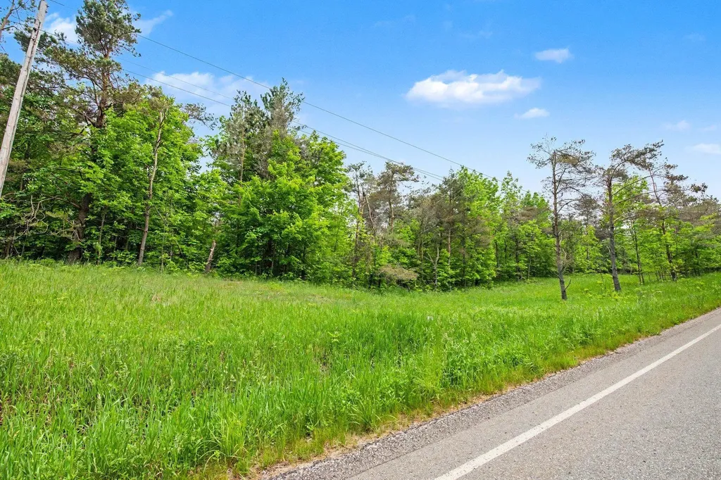 Vl Robinson Road Readmond Township MI 49740