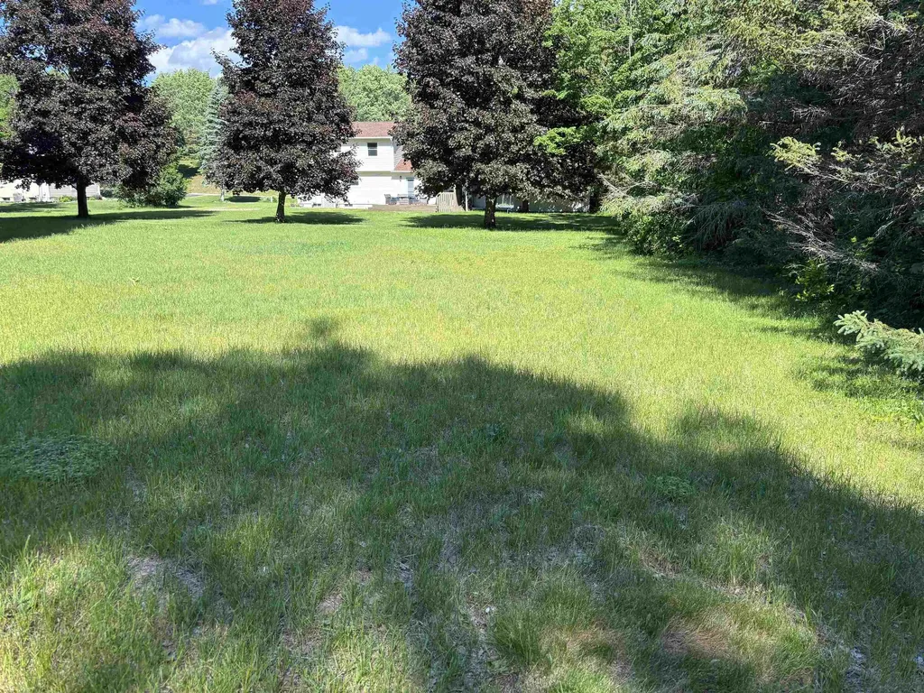 10009 E Lakeview Hills Road Elmwood Charter Township MI 49684