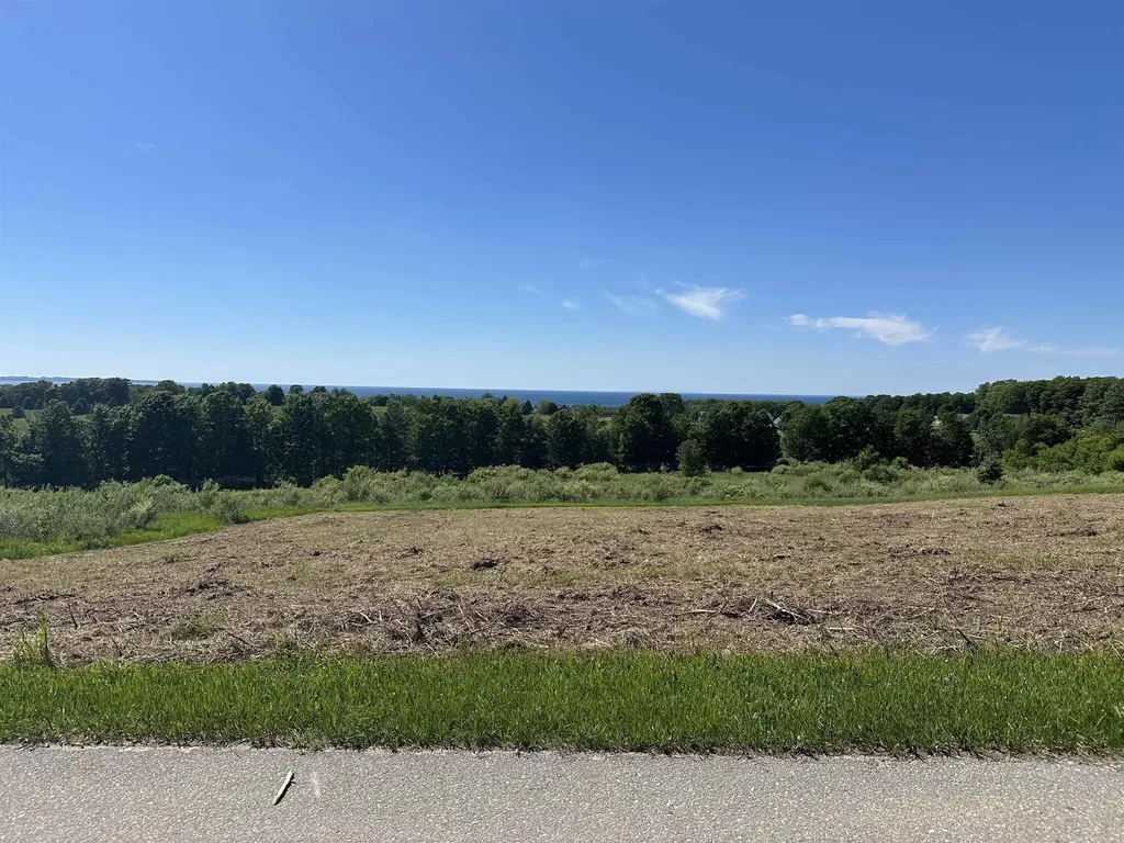 12 Foxview Drive Norwood Township MI 49720