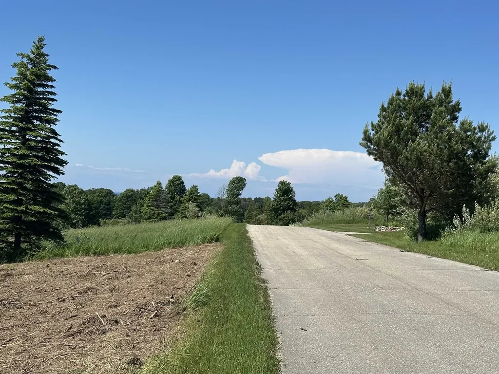 12 Foxview Drive Norwood Township MI 49720