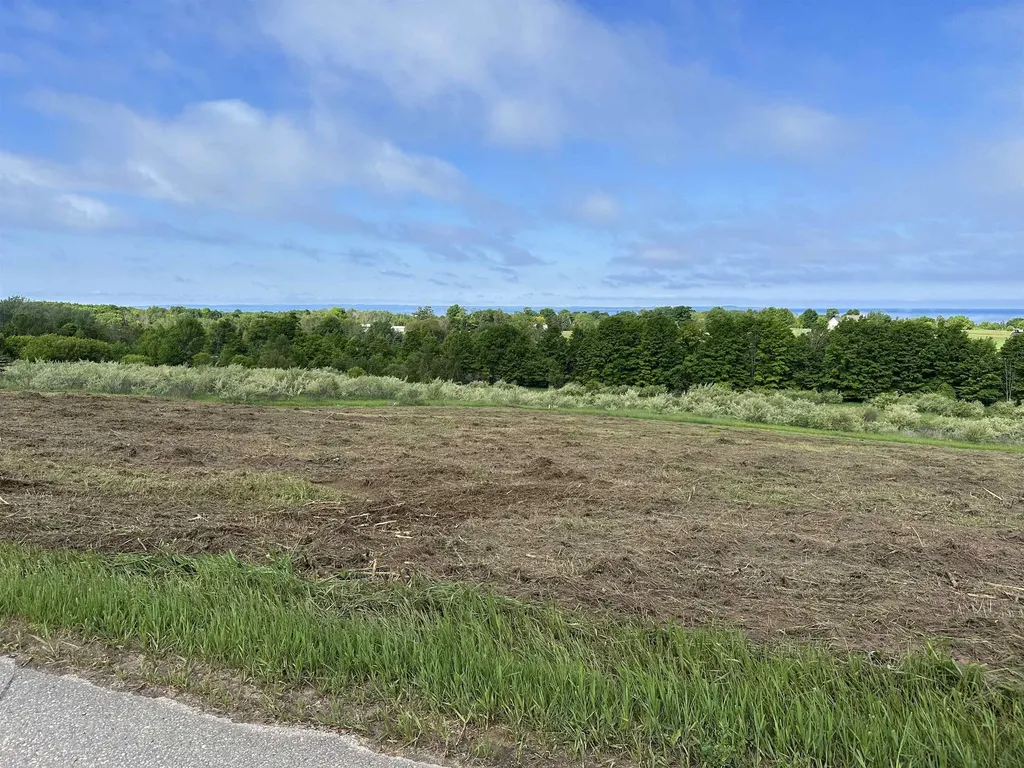 12 Foxview Drive Norwood Township MI 49720