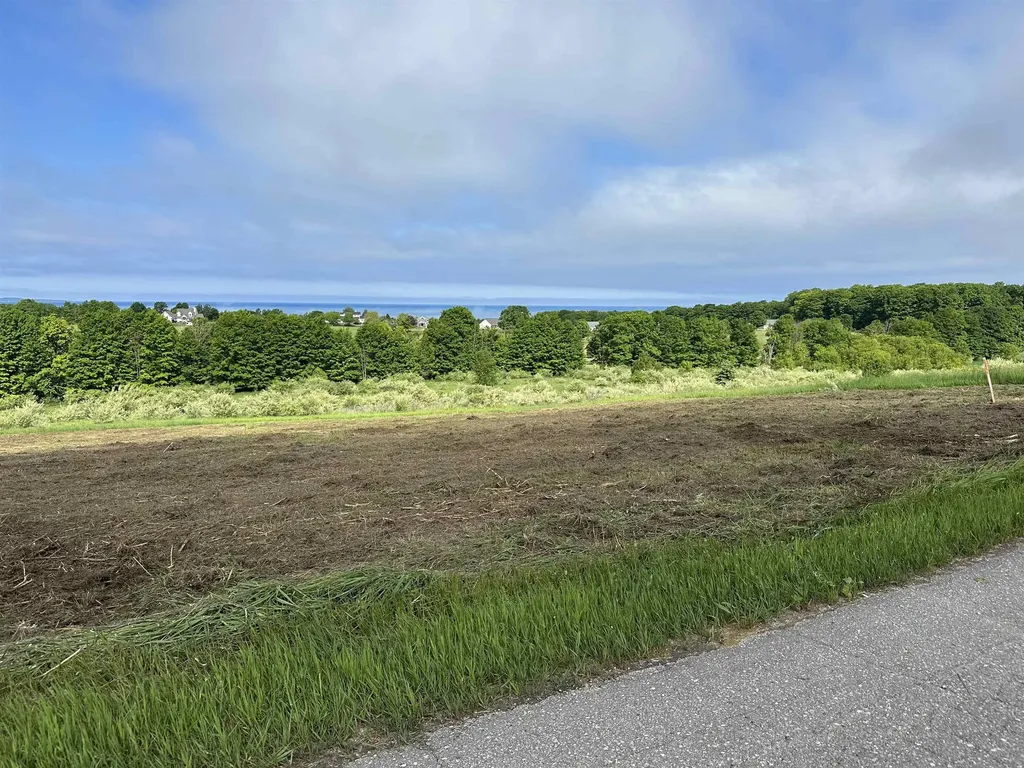 12 Foxview Drive Norwood Township MI 49720