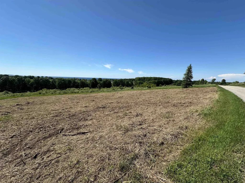 12 Foxview Drive Norwood Township MI 49720