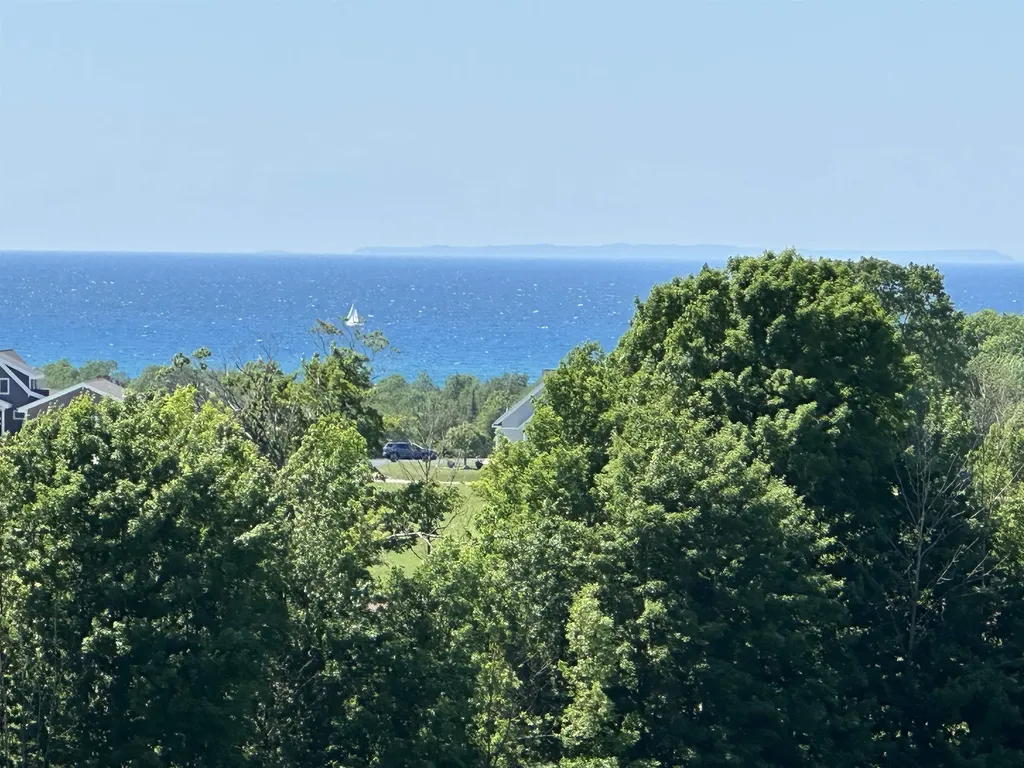 12 Foxview Drive Norwood Township MI 49720