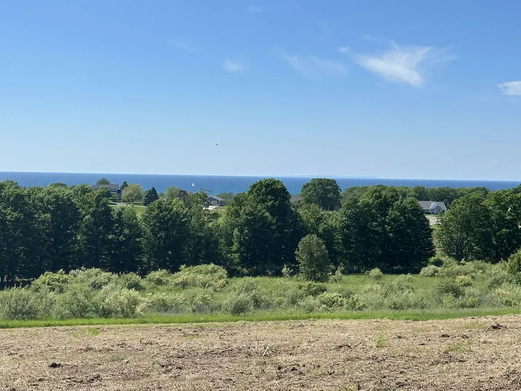 12 Foxview Drive Norwood Township MI 49720