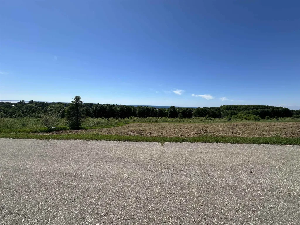 12 Foxview Drive Norwood Township MI 49720
