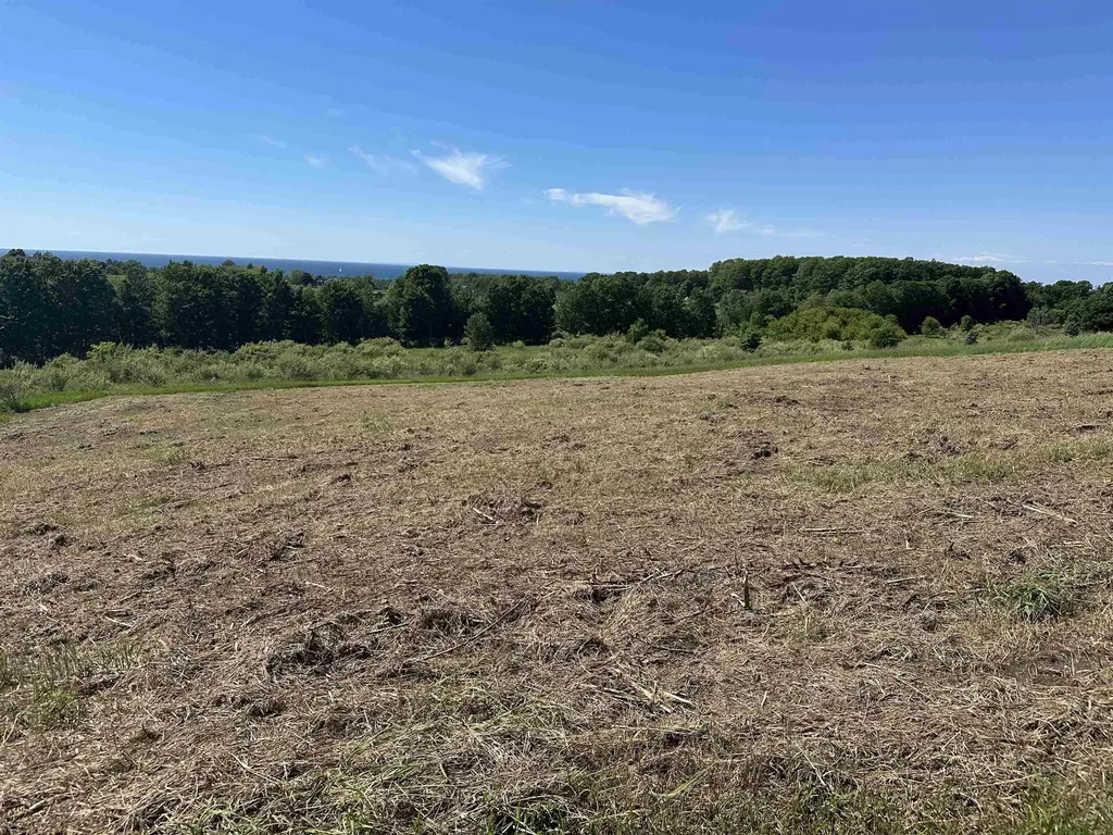 12 Foxview Drive Norwood Township MI 49720