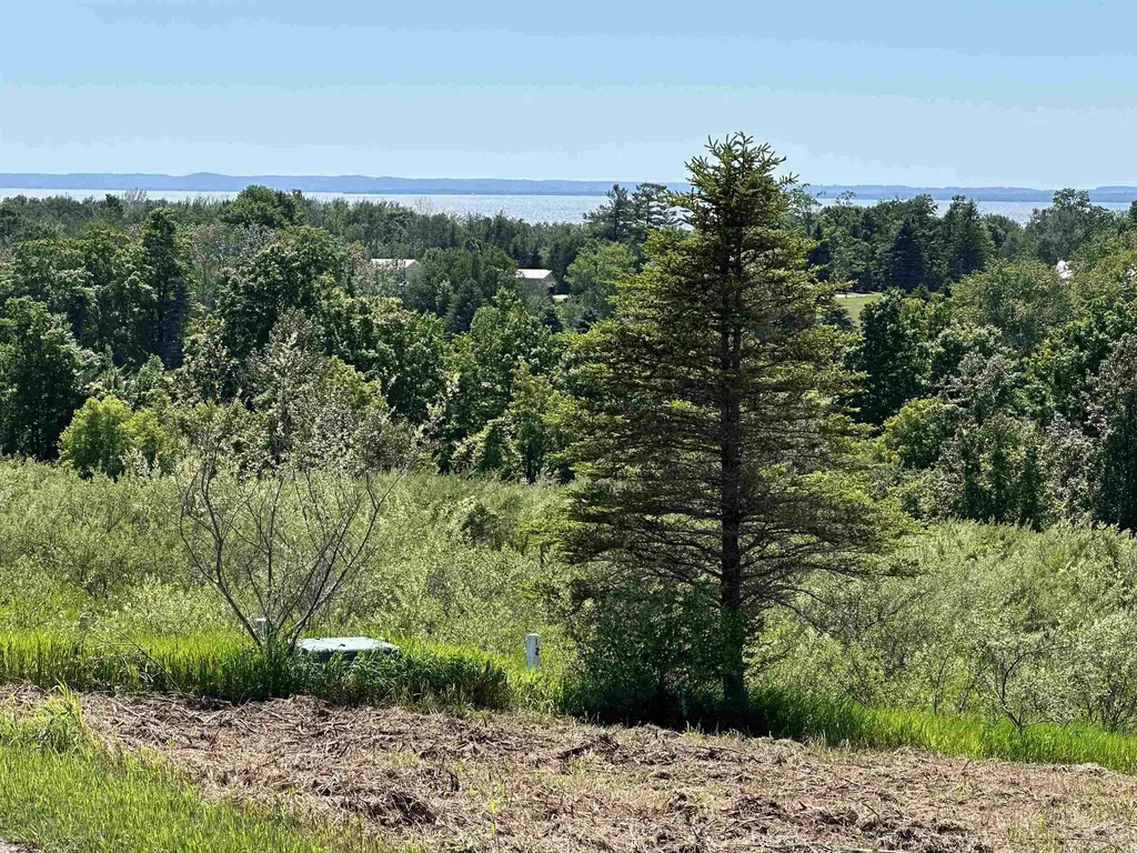 12 Foxview Drive Norwood Township MI 49720