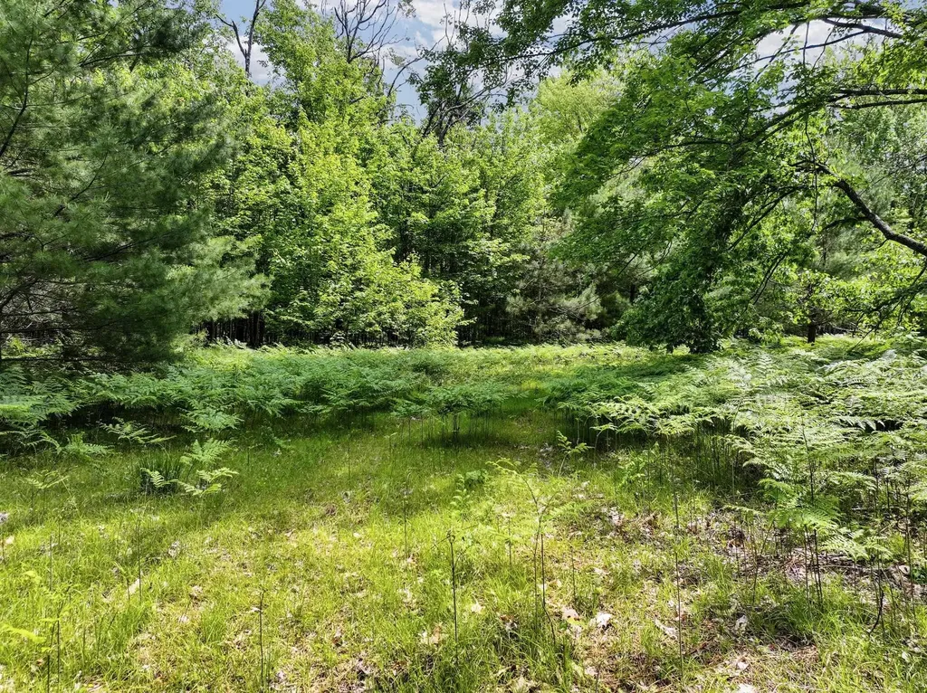 Parcel B Seeley Road Lake Township MI 49651