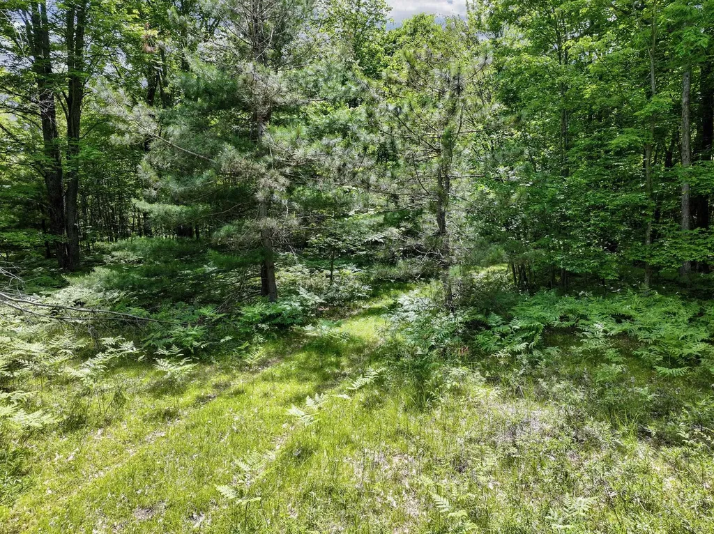 Parcel B Seeley Road Lake Township MI 49651