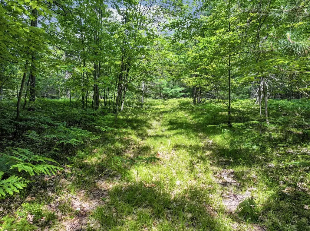 Parcel B Seeley Road Lake Township MI 49651