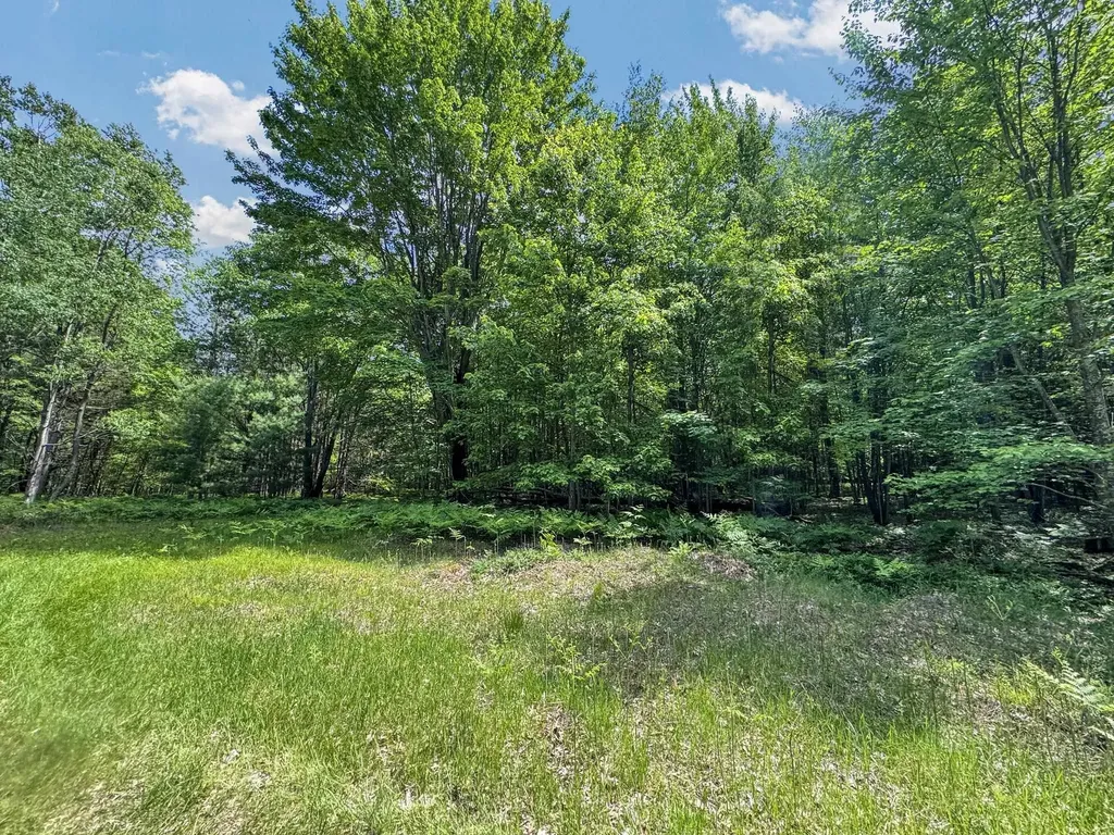 Parcel B Seeley Road Lake Township MI 49651