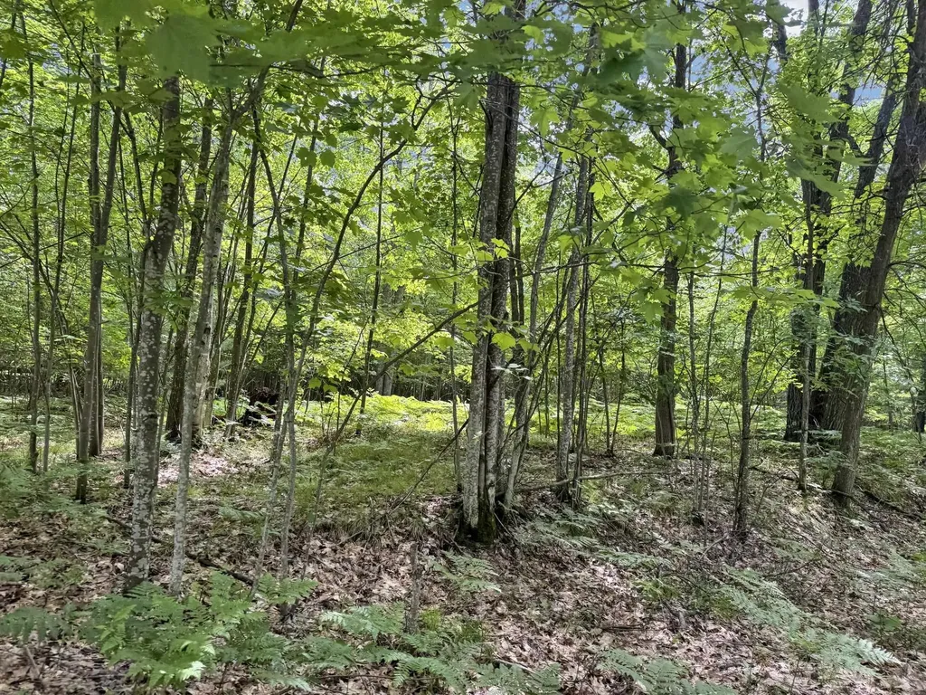 Parcel B Seeley Road Lake Township MI 49651