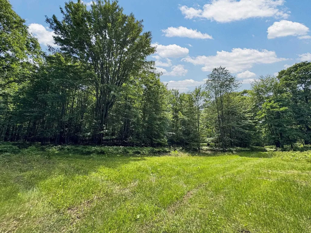 Parcel B Seeley Road Lake Township MI 49651
