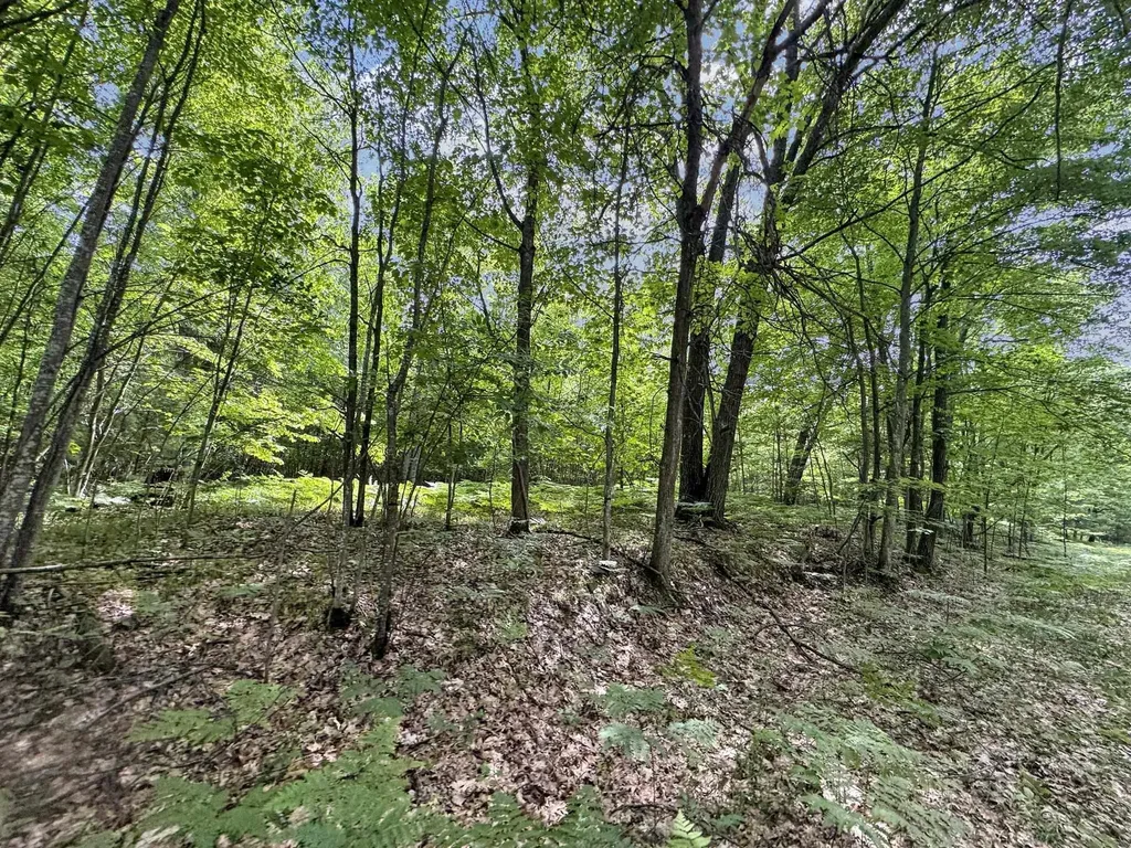 Parcel B Seeley Road Lake Township MI 49651