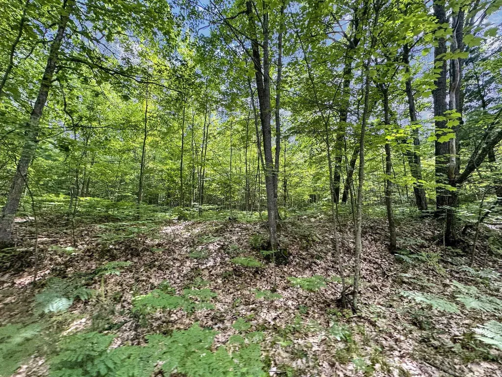 Parcel B Seeley Road Lake Township MI 49651