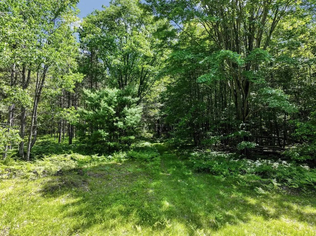 Parcel B Seeley Road Lake Township MI 49651
