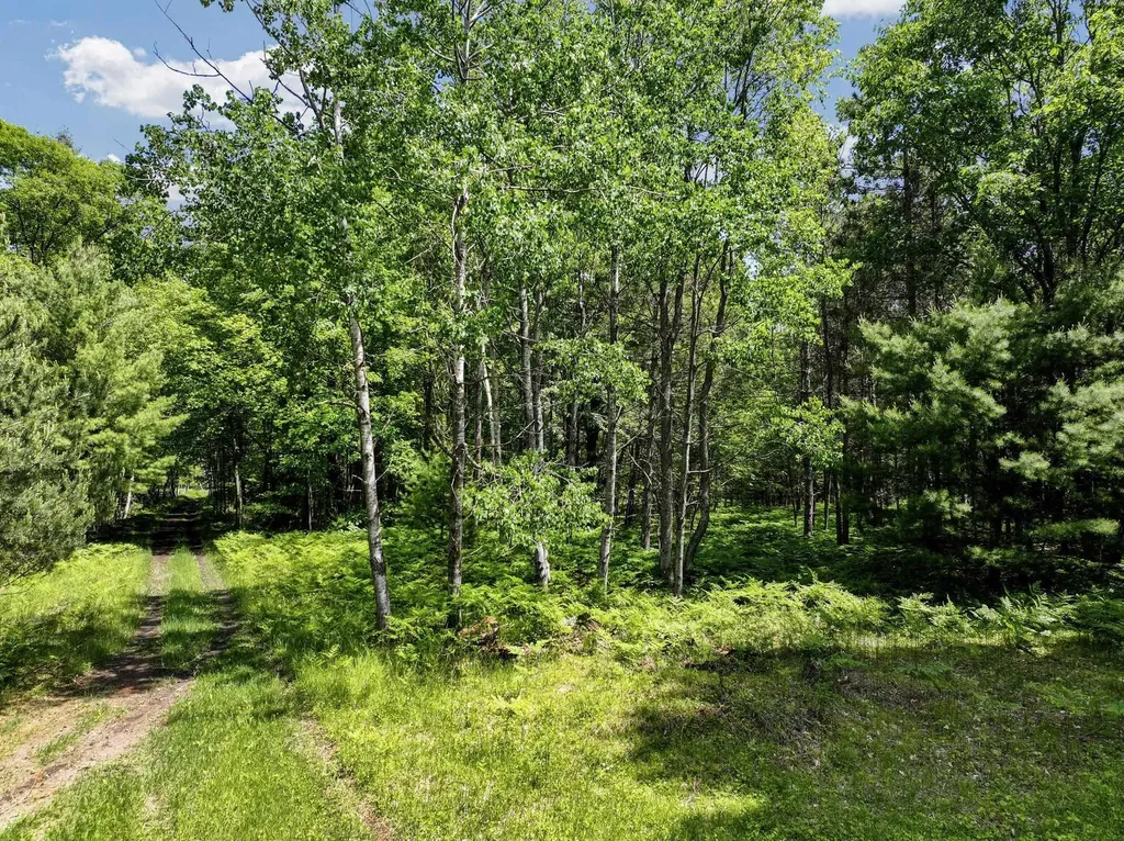 Parcel B Seeley Road Lake Township MI 49651