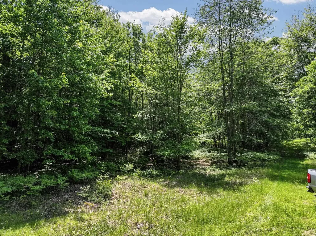Parcel B Seeley Road Lake Township MI 49651