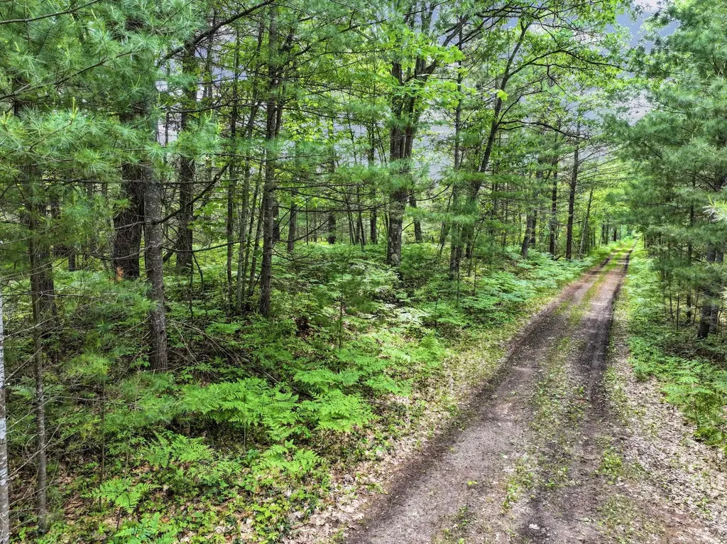 Parcel B Seeley Road Lake Township MI 49651
