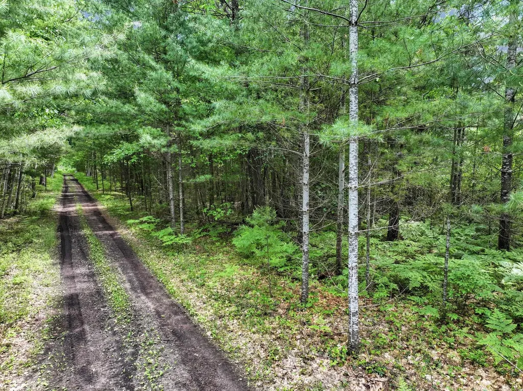 Parcel B Seeley Road Lake Township MI 49651