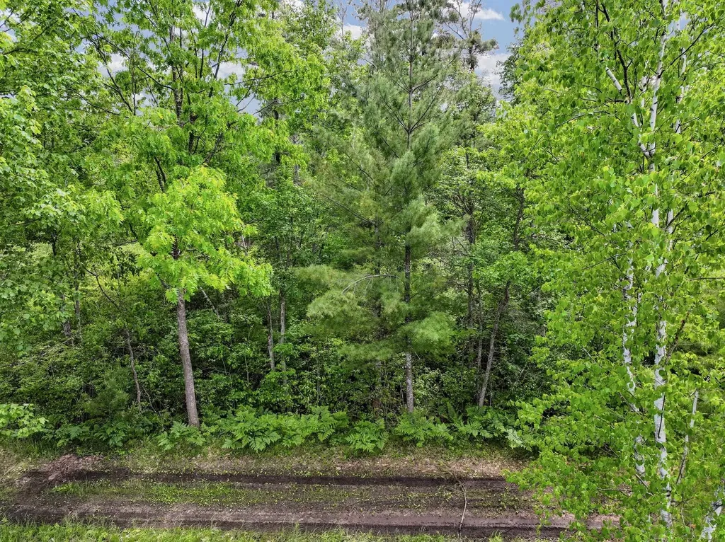 Parcel B Seeley Road Lake Township MI 49651