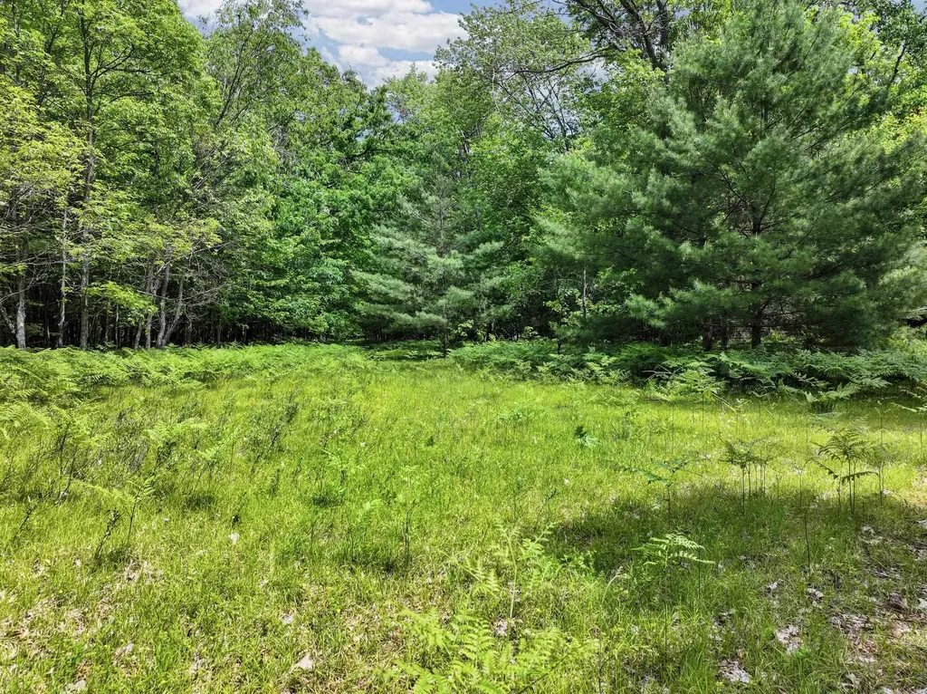 Parcel B Seeley Road Lake Township MI 49651
