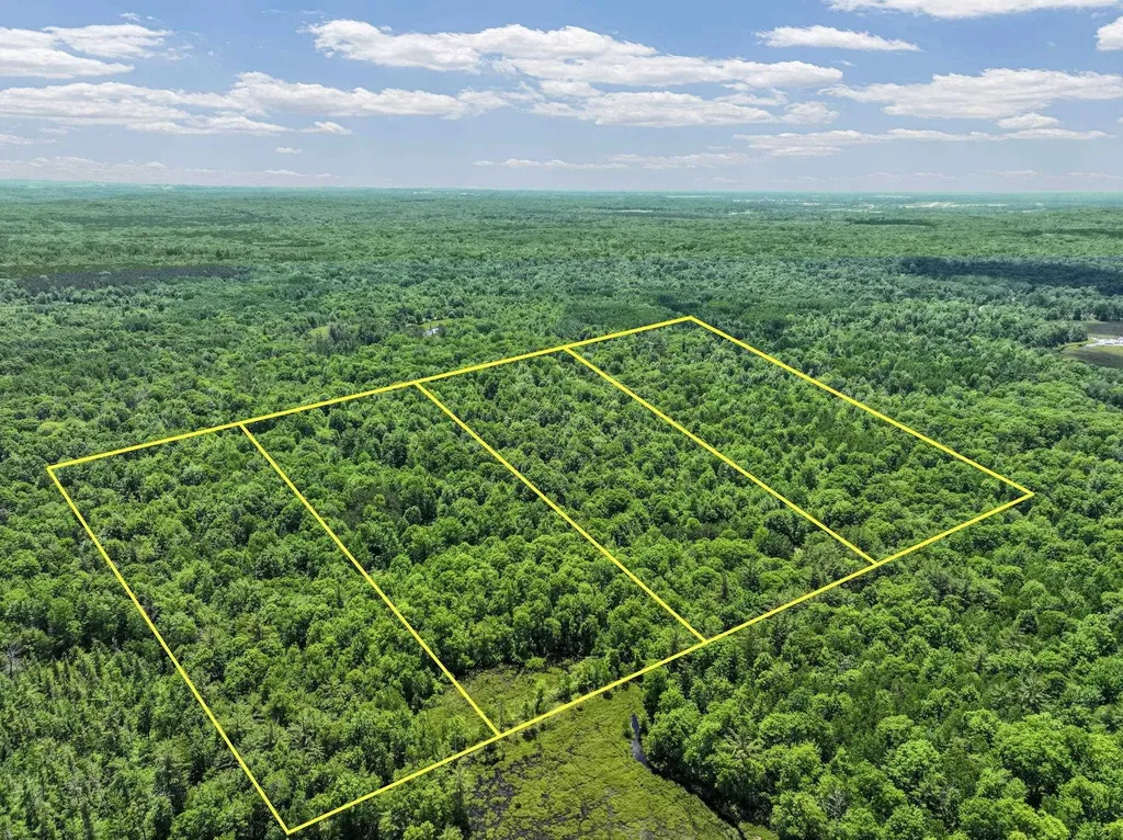 Parcel A Seeley Road Lake Township MI 49651