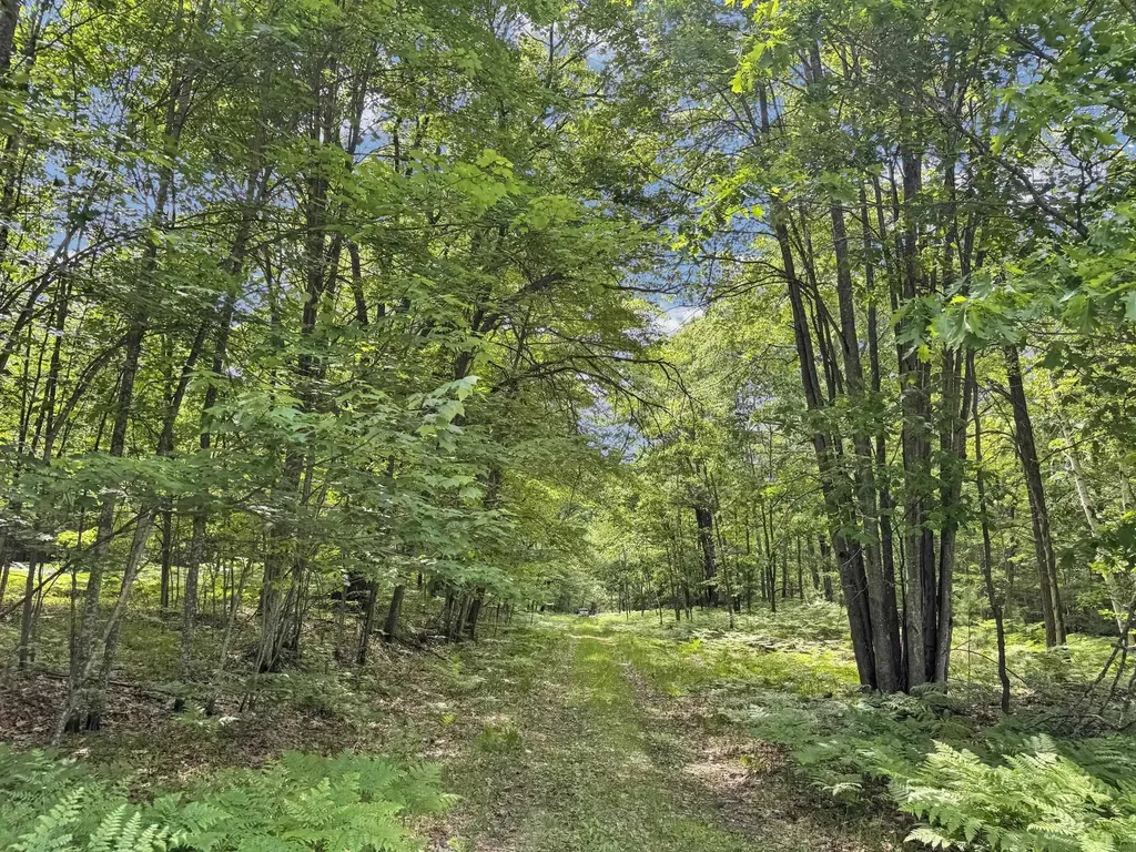 Parcel A Seeley Road Lake Township MI 49651