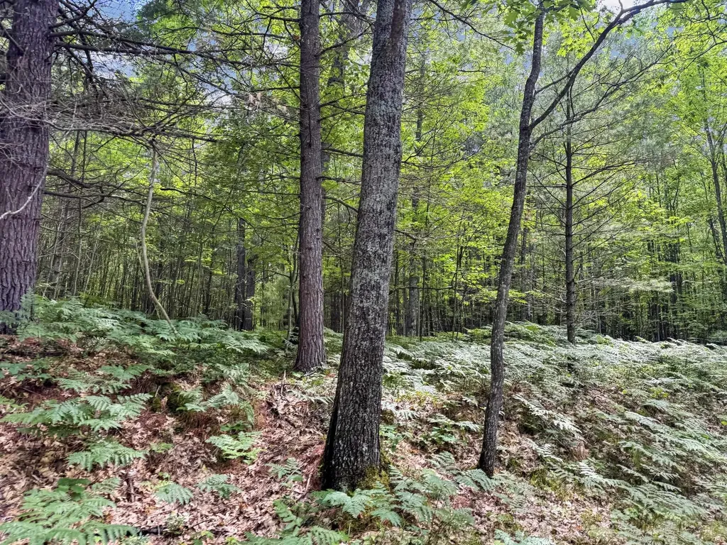 Parcel A Seeley Road Lake Township MI 49651