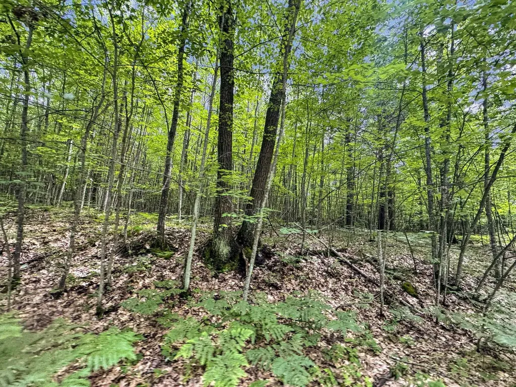 Parcel A Seeley Road Lake Township MI 49651