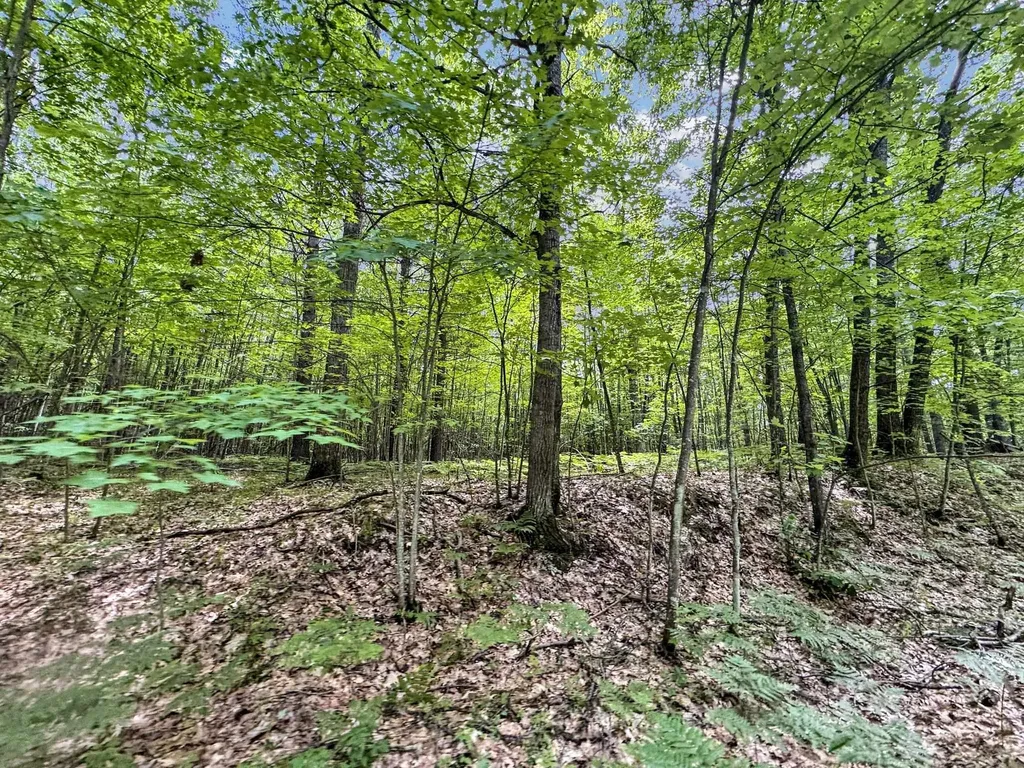 Parcel A Seeley Road Lake Township MI 49651