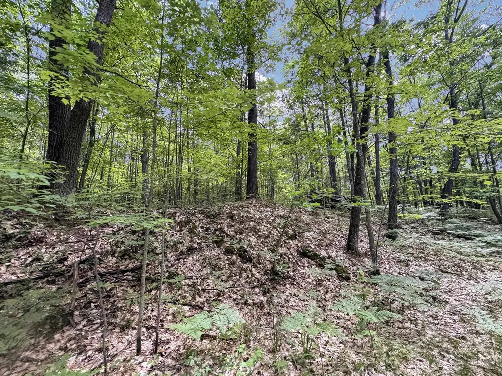 Parcel A Seeley Road Lake Township MI 49651