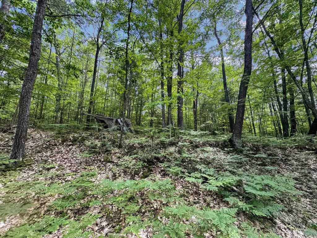 Parcel A Seeley Road Lake Township MI 49651
