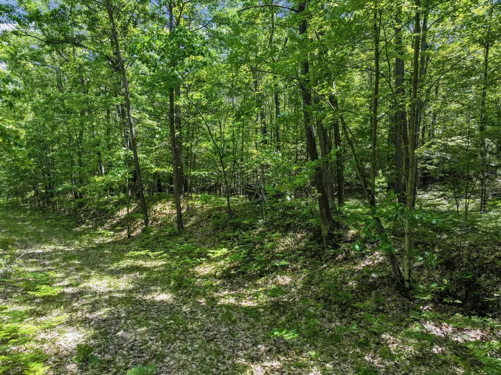 Parcel A Seeley Road Lake Township MI 49651