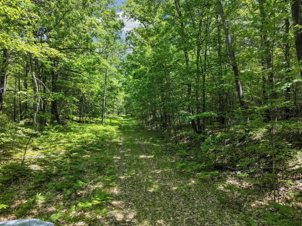 Parcel A Seeley Road Lake Township MI 49651