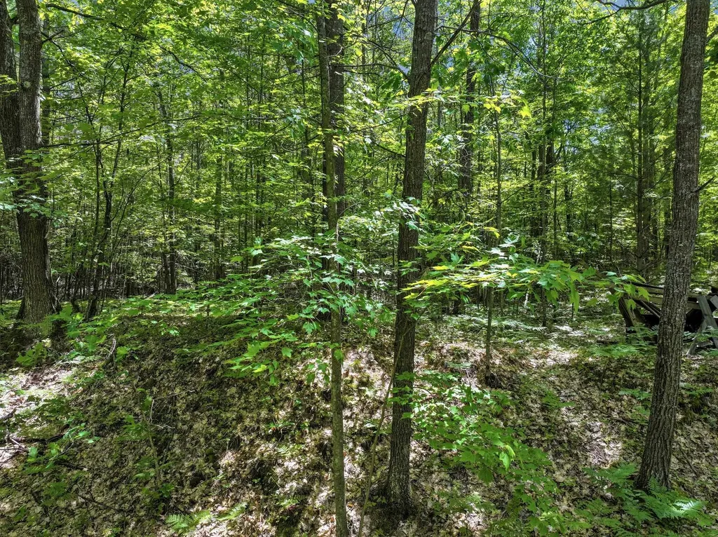 Parcel A Seeley Road Lake Township MI 49651