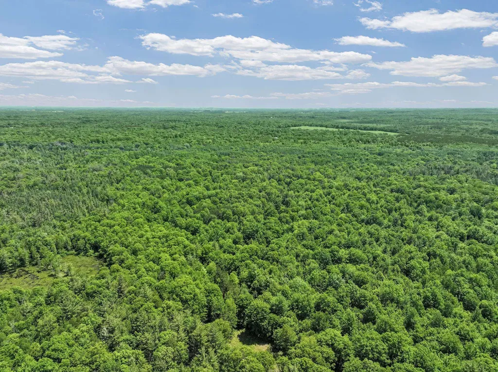 Parcel A Seeley Road Lake Township MI 49651