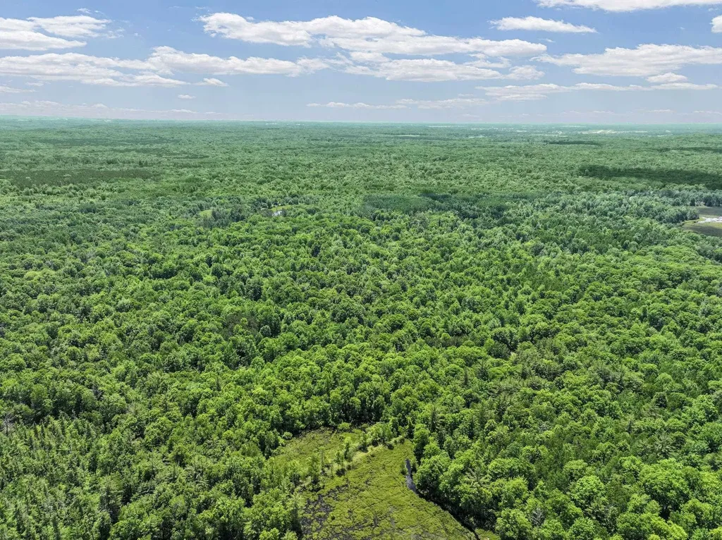 Parcel A Seeley Road Lake Township MI 49651