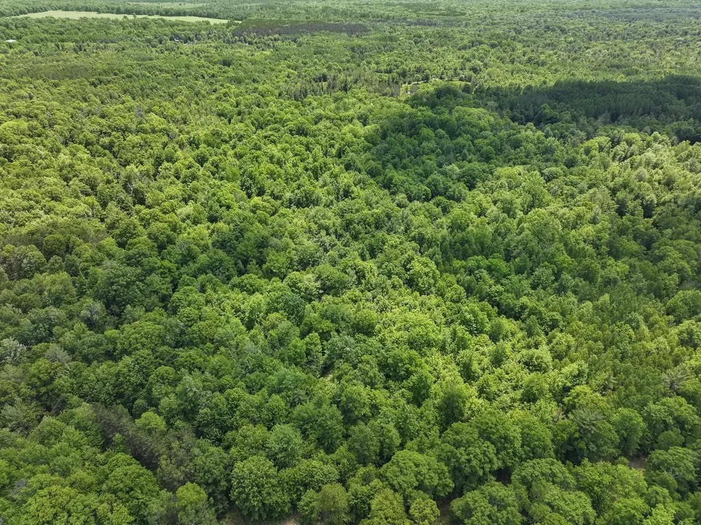 Parcel A Seeley Road Lake Township MI 49651