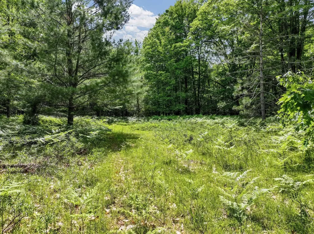 Parcel C Seeley Road Lake Township MI 49651