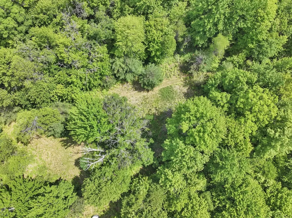 Parcel C Seeley Road Lake Township MI 49651
