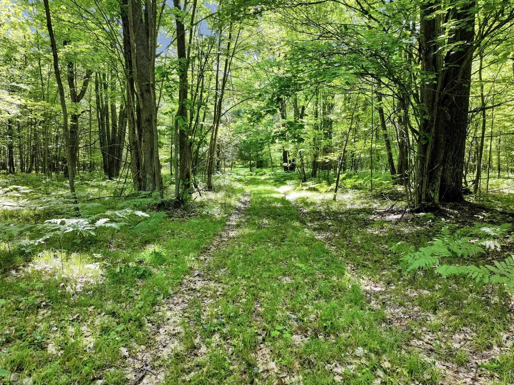 Parcel C Seeley Road Lake Township MI 49651