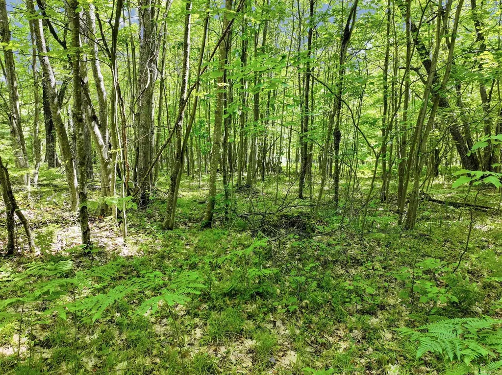 Parcel C Seeley Road Lake Township MI 49651